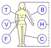 anthropometric